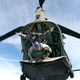 Image for article titled 26 Awesome Photos of War Dogs Showing How Badass and Cute They Can Be
